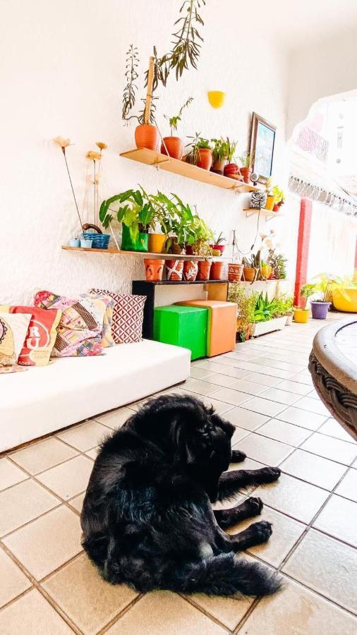 Zili Pernambuco - Hostel Pousada Recife Eksteriør bilde