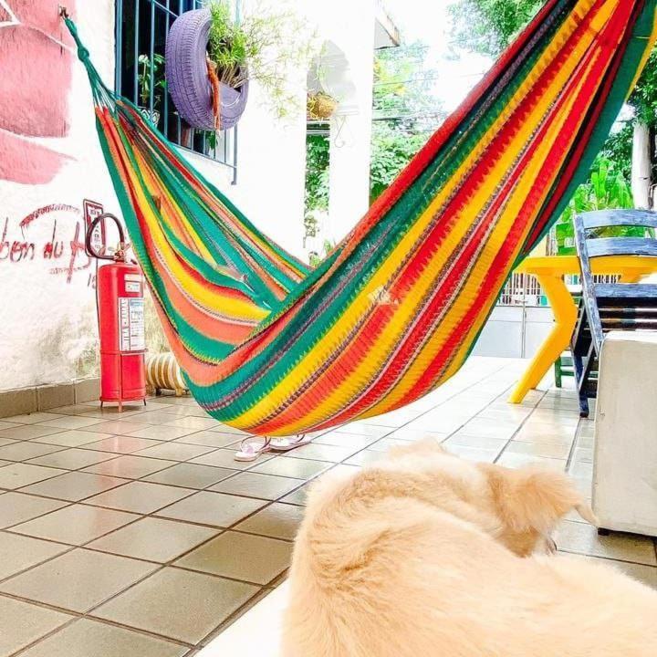 Zili Pernambuco - Hostel Pousada Recife Eksteriør bilde