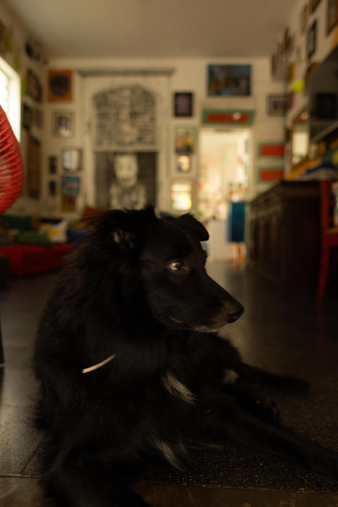 Zili Pernambuco - Hostel Pousada Recife Eksteriør bilde